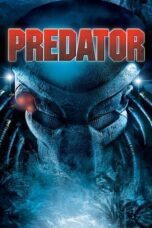 Predator